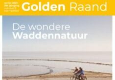 HGL Golden Raand zomer 2023 zeegras