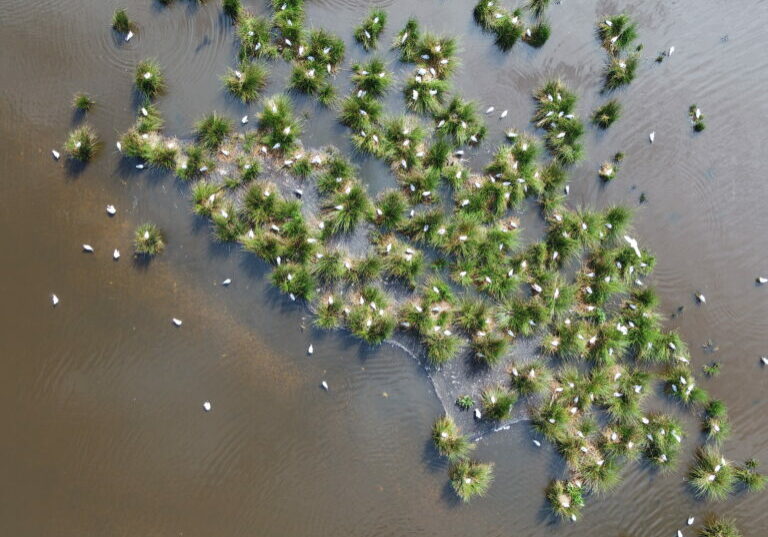 Veldwerkplaats drones