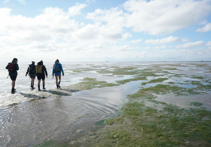 Lowlander Botanical Beers - Seagrass visit