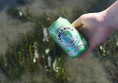 Lowlander Botanical Beers - Seagrass visit - 2121