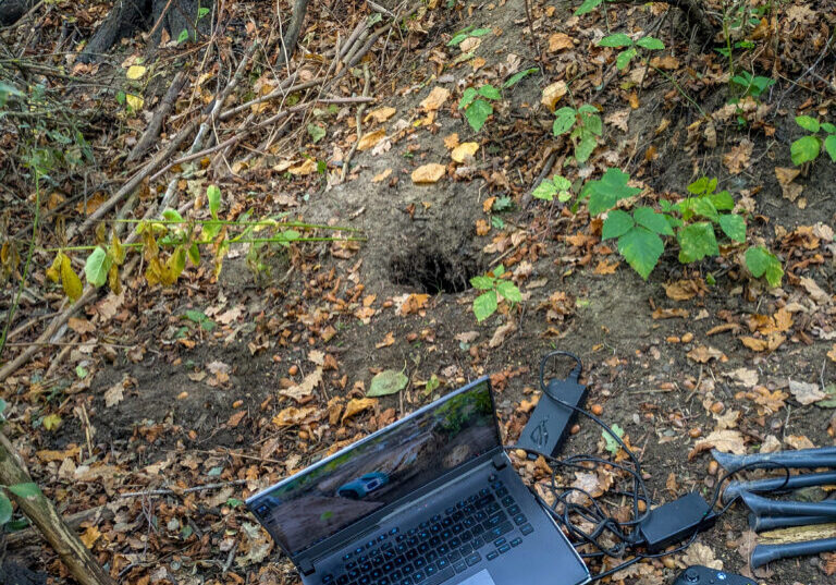 PXL_20251014_130924061