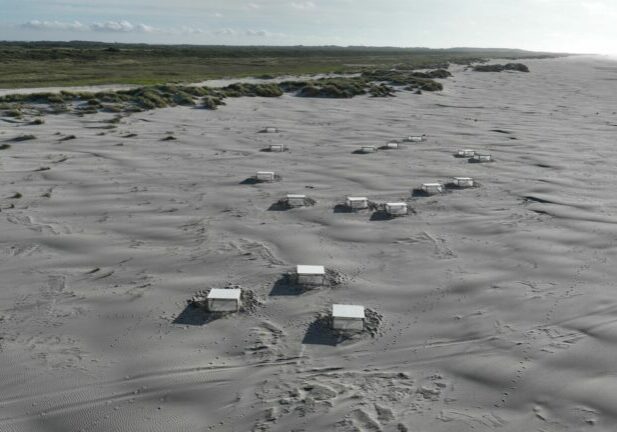 Droogte experiment Schiermonnikoog juli 2022